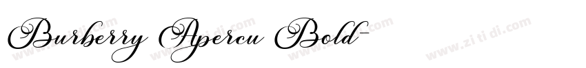 Burberry Apercu Bold字体转换